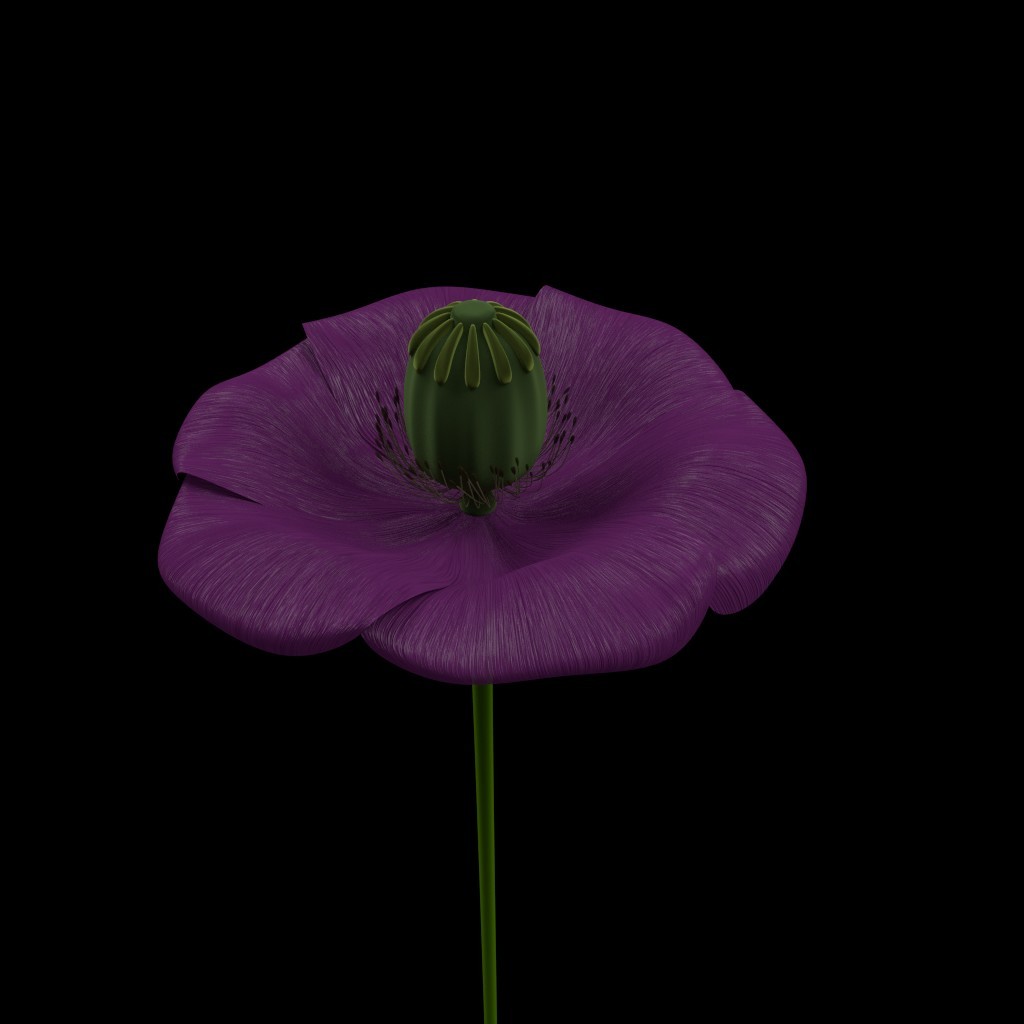 poppy preview image 1